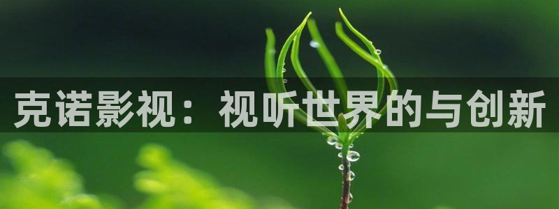 超碰在线观看av：克诺影视：视听世界的与创新