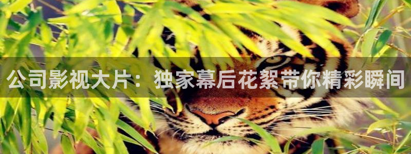 carpon超碰在线：公司影视大片：独家幕后花絮带你精彩瞬间