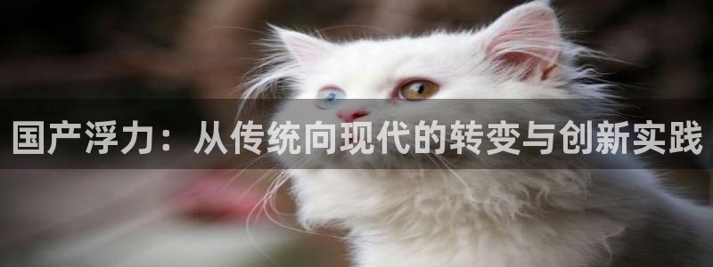 超碰caopor：国产浮力：从传统向现代的转变与创新实践