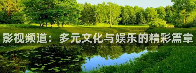 超碰在线porn：影视频道：多元文化与娱乐的精彩篇章