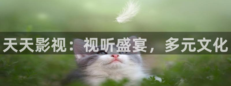 中文免费超碰：天天影视：视听盛宴，多元文化