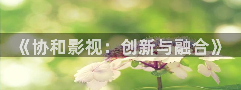 超碰在线公开91：《协和影视：创新与融合》